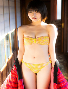 谍影重重2