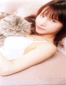 电视剧绣娘